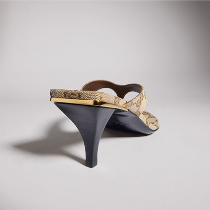 Tanga Vittoria
